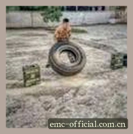 刘洋